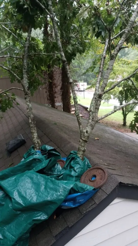 Professional outdoor landscaping for residential properties across Stone Mountain, GA - Strawford Smothers