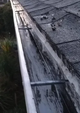 Professional residential landscaping experts serving Lincoln, NE - Strayer Outdoor Services