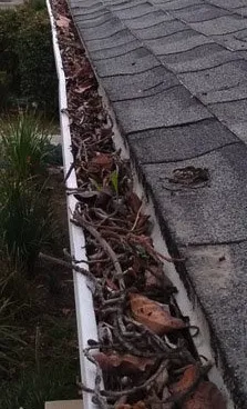 Local landscape installation experts serving Lincoln, NE - Strayer Outdoor Services