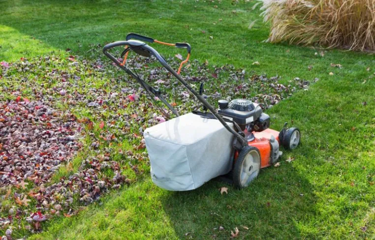 Reliable yard maintenance in Lincoln, NE by Strayer Outdoor Services