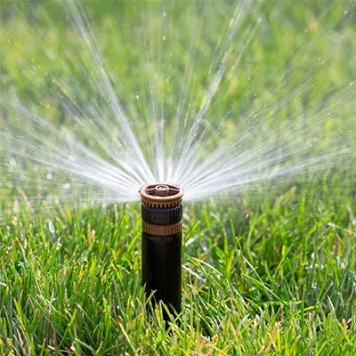 Affordable lawn care service experts serving Santa Maria, CA - Streamline Garden And Irrigation Management
