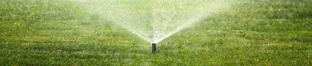 Local yard maintenance near you in Santa Maria, CA by Streamline Garden And Irrigation Management