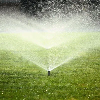 Affordable landscape design for year-round maintenance in Santa Maria, CA by Streamline Garden And Irrigation Management