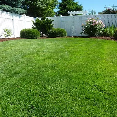 Custom yard maintenance for homes in Santa Maria, CA by Streamline Garden And Irrigation Management