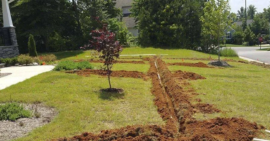 Trusted lawn care service for year-round maintenance across Colleyville, TX - Streamline Landscape