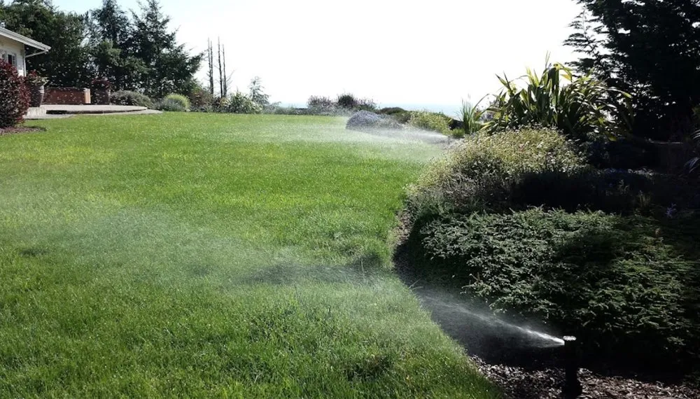 Reliable yard cleanup service in Colleyville, TX by Streamline Landscape