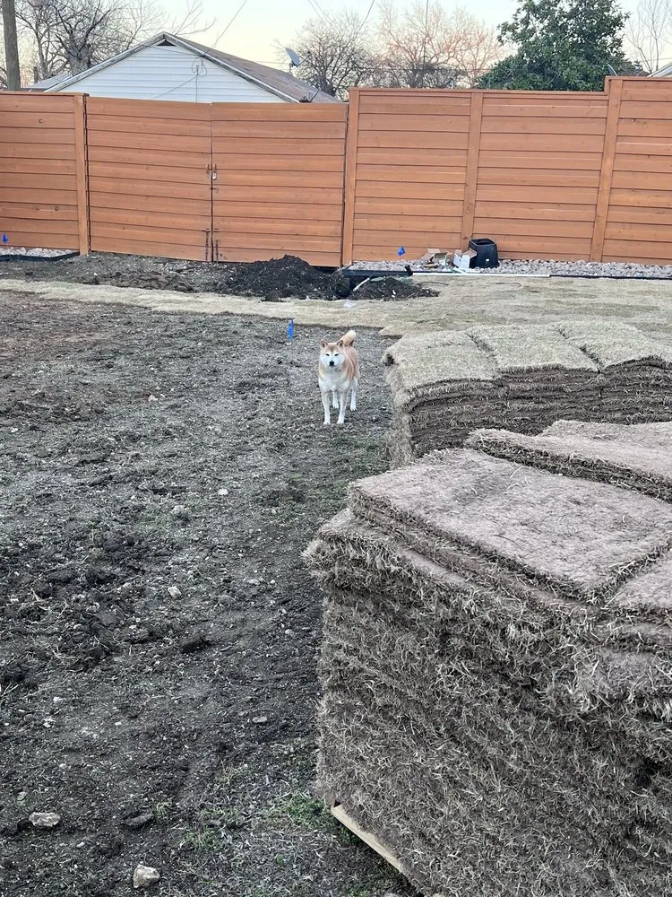 Reliable landscape installation in Colleyville, TX - Streamline Landscape