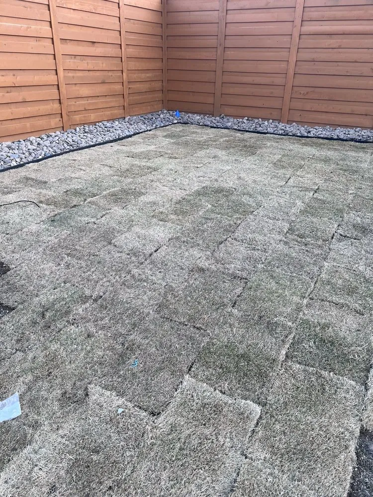 Trusted lawn care service for residential properties across Colleyville, TX - Streamline Landscape