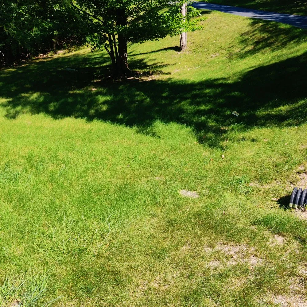 Local lawn mowing service experts serving Onaway, MI - Streamline Lawn & snow