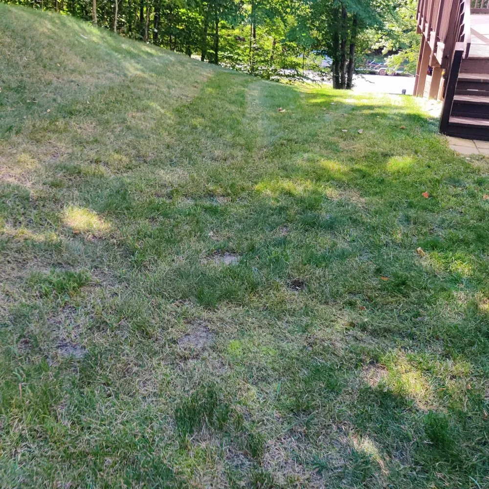 Affordable lawn mowing service in Onaway, MI - Streamline Lawn & snow