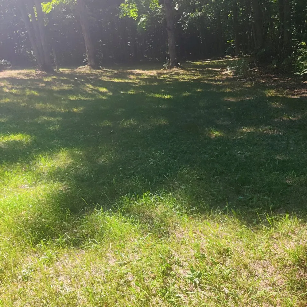 Trusted lawn mowing service for year-round maintenance across Onaway, MI - Streamline Lawn & snow