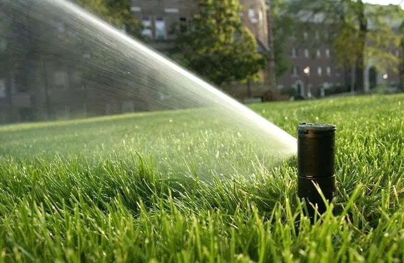 Expert lawn care service for year-round maintenance across Burnet, TX - Streamlined Environmental Services