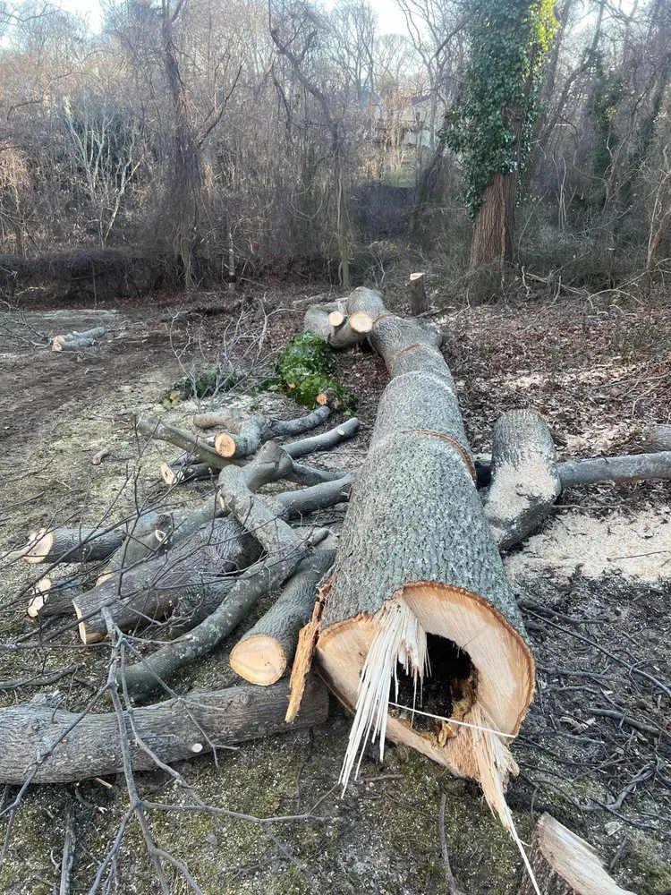 Professional residential landscaping for residential properties across Sound Beach, NY - Streeff Tree Experts