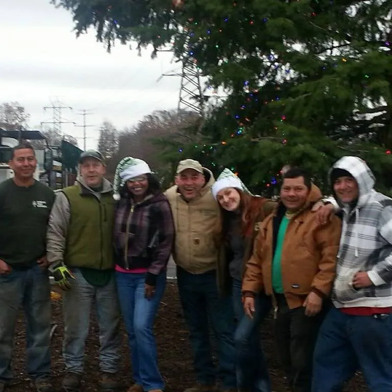 Trusted landscaping services for beautiful yards in Sound Beach, NY by Streeff Tree Experts