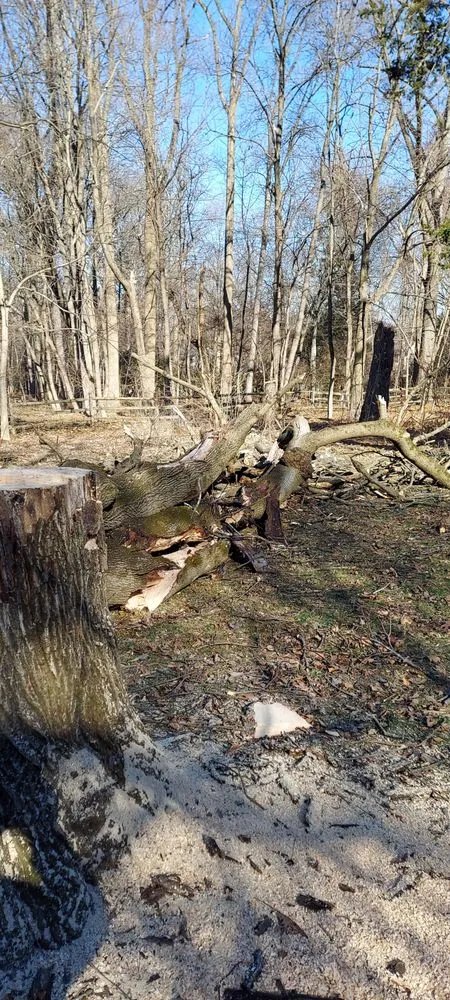 Affordable landscape installation experts serving Hatboro, PA - Street Dreams Tree Service