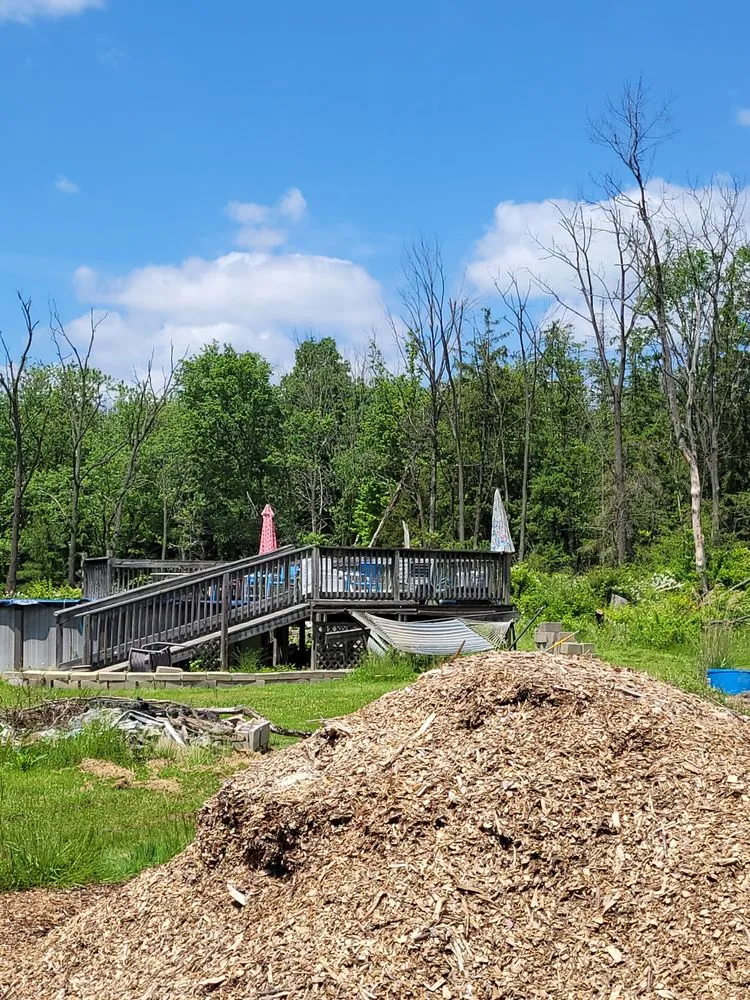 Local yard maintenance in Hatboro, PA - Street Dreams Tree Service