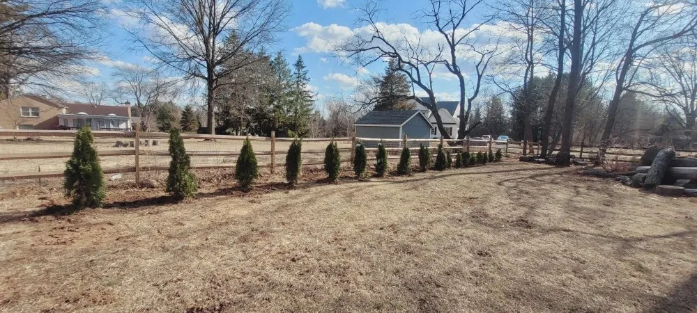 Expert landscaping services with custom design across Hatboro, PA - Street Dreams Tree Service