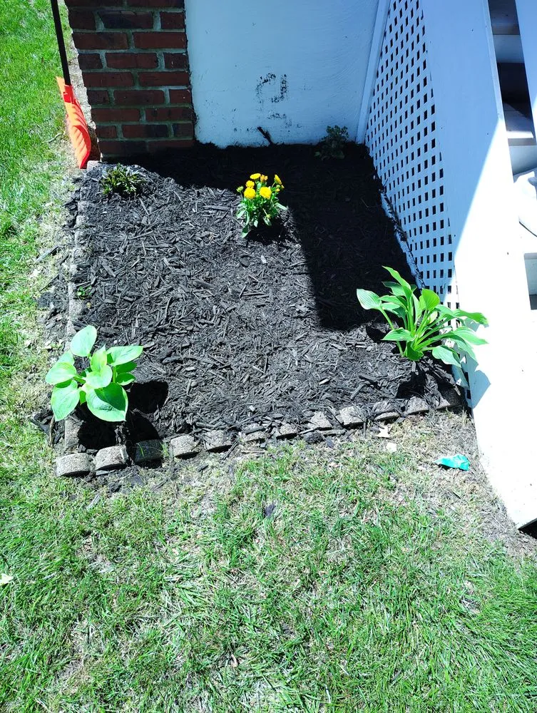 Expert lawn mowing service in Baltimore, MD - Street Lawn and Car Wash Service