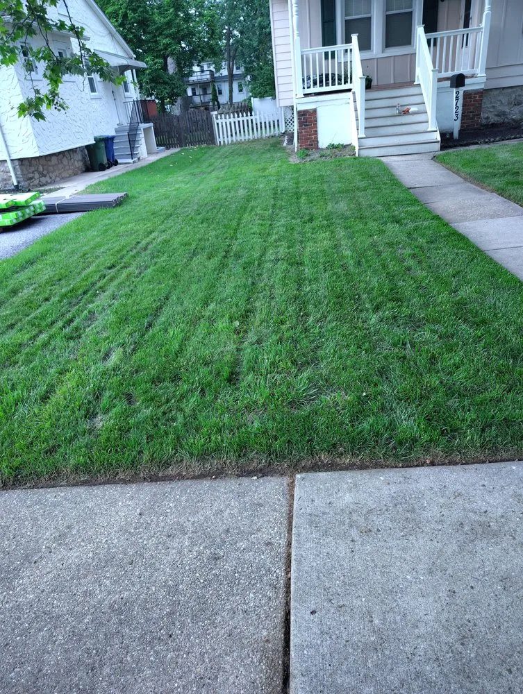 Reliable yard cleanup service for beautiful yards across Baltimore, MD - Street Lawn and Car Wash Service