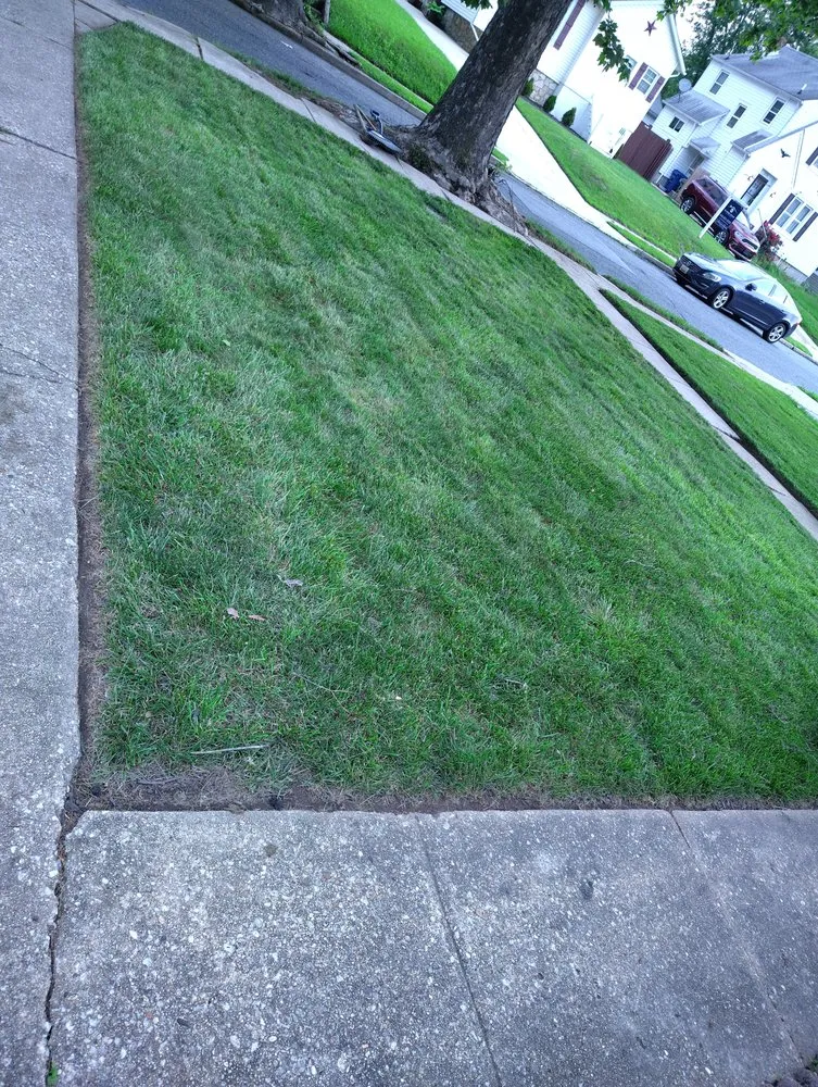 Local lawn mowing service for outdoor upgrades across Baltimore, MD - Street Lawn and Car Wash Service