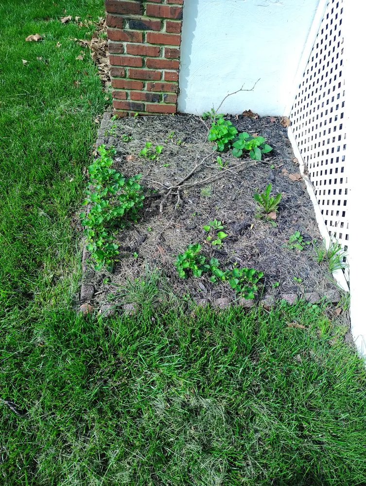 Top-rated landscape installation in Baltimore, MD - Street Lawn and Car Wash Service