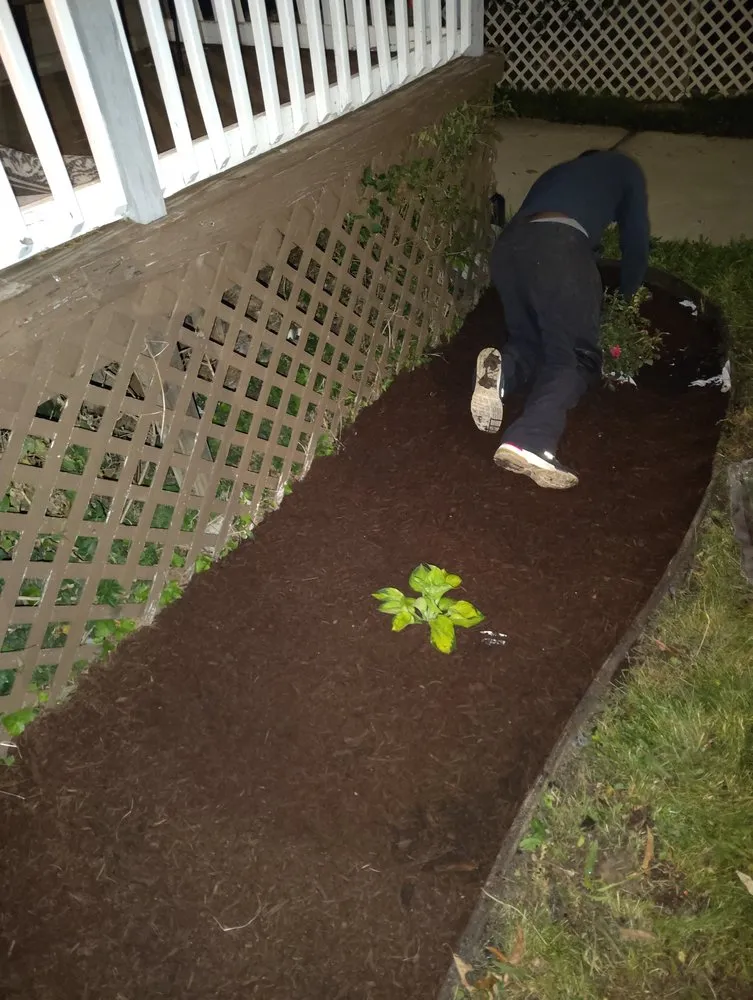 Expert landscape installation near you across Baltimore, MD - Street Lawn and Car Wash Service