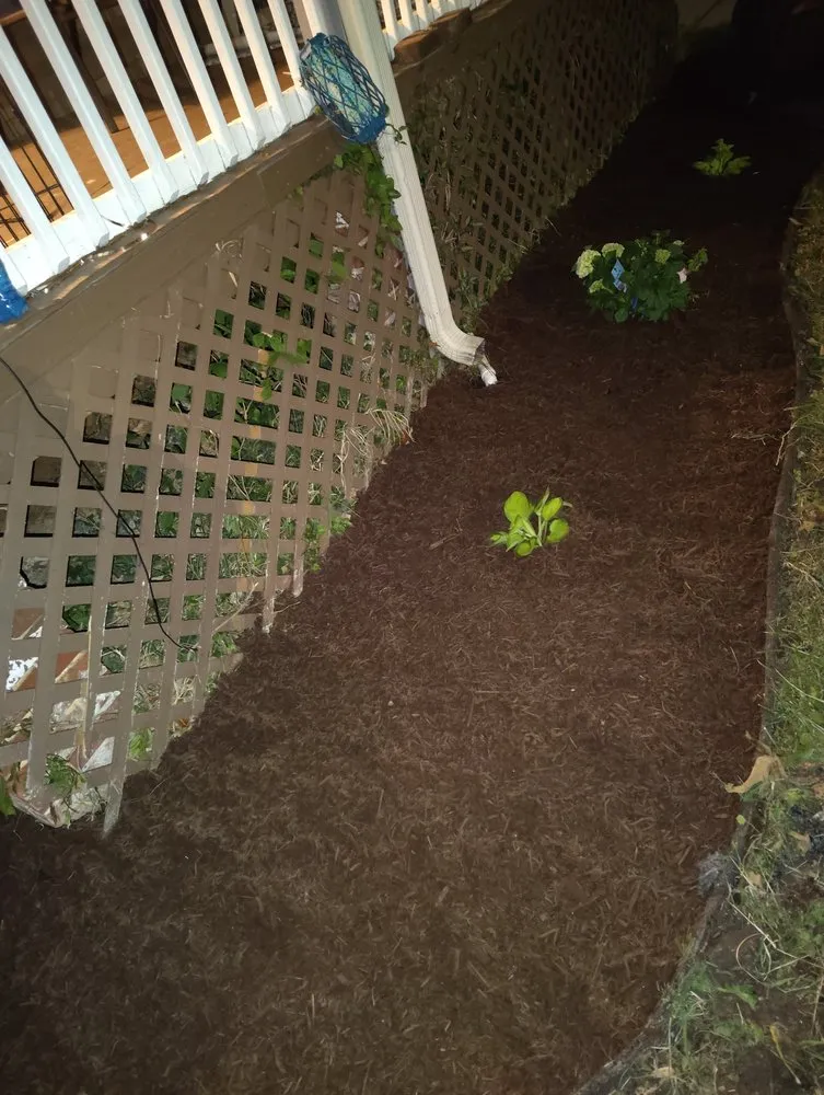 Local lawn mowing service in Baltimore, MD by Street Lawn and Car Wash Service