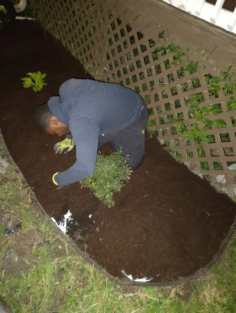 Custom lawn mowing service experts serving Baltimore, MD - Street Lawn and Car Wash Service