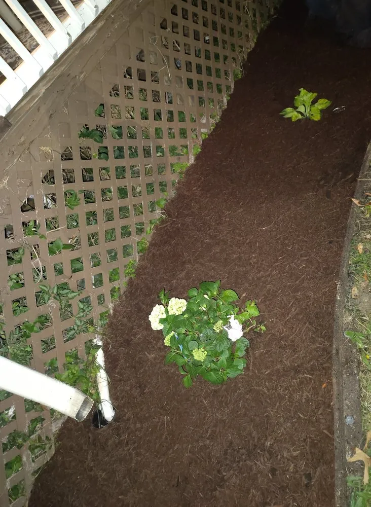 Expert lawn care service experts serving Baltimore, MD - Street Lawn and Car Wash Service