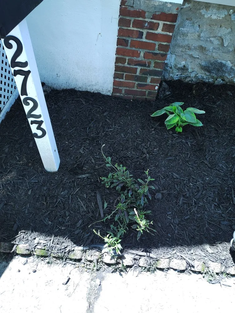 Custom lawn care service near you in Baltimore, MD by Street Lawn and Car Wash Service