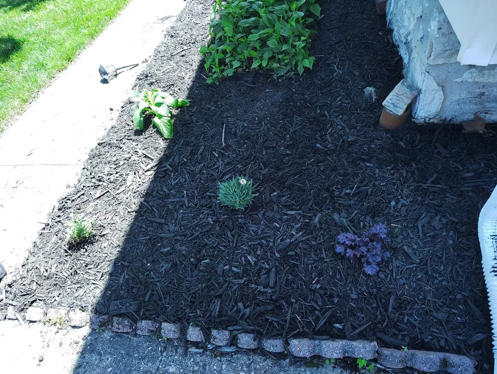 Local landscape design in Baltimore, MD - Street Lawn and Car Wash Service