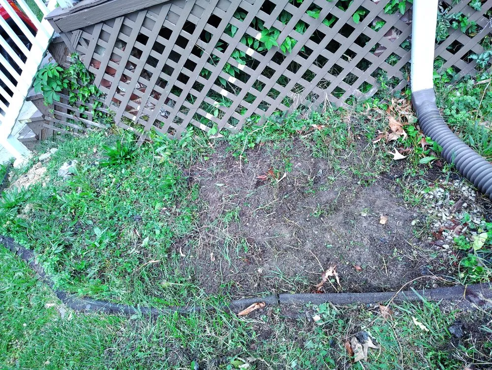 Affordable lawn mowing service for homes in Baltimore, MD by Street Lawn and Car Wash Service