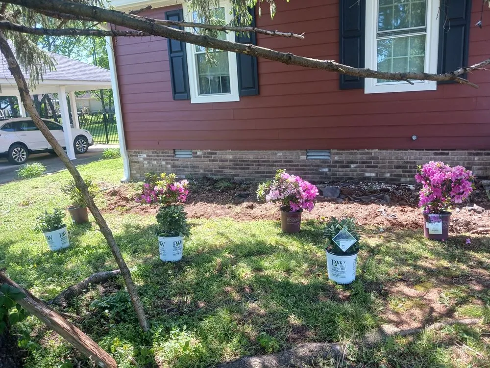 Reliable yard cleanup service in Murfreesboro, TN by Streets Landscaping