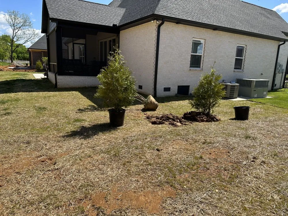 Reliable yard cleanup service in Murfreesboro, TN by Streets Landscaping