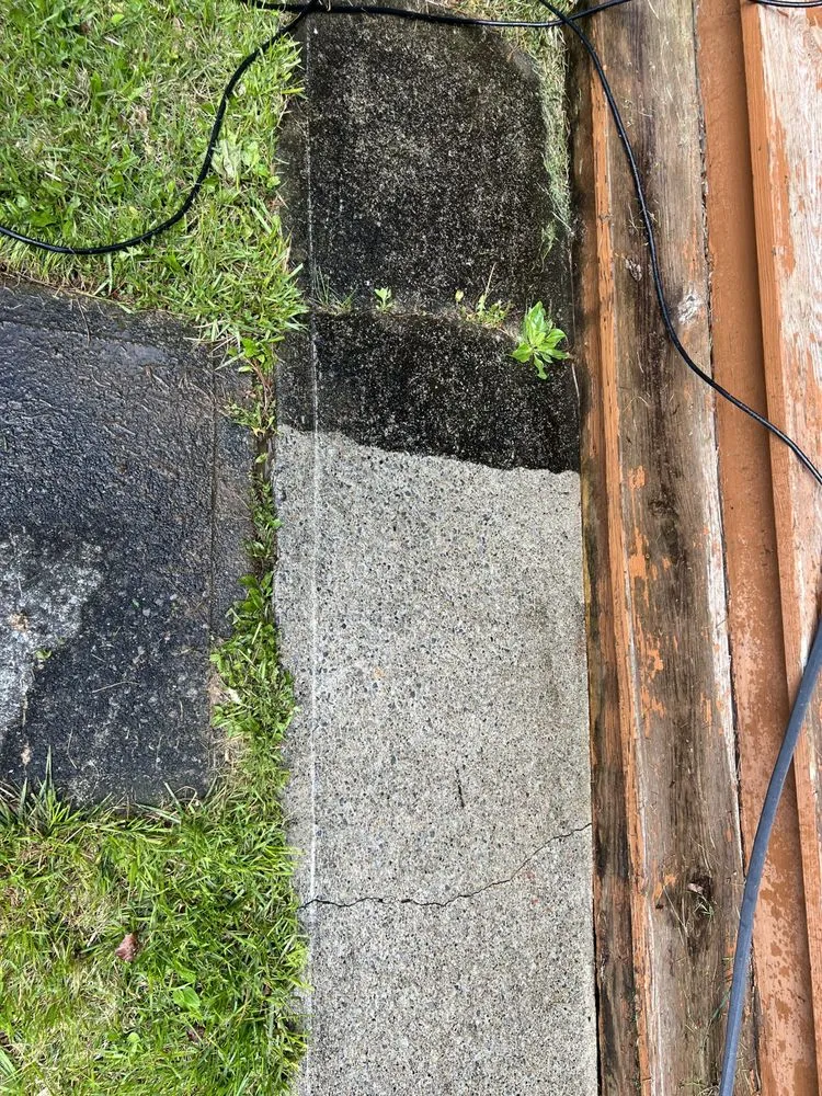 Affordable yard maintenance in Amsterdam, NY by Streetwise Care