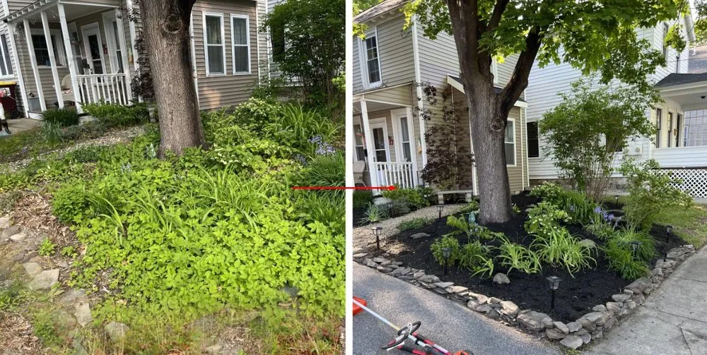 Professional lawn care service in Amsterdam, NY by Streetwise Care