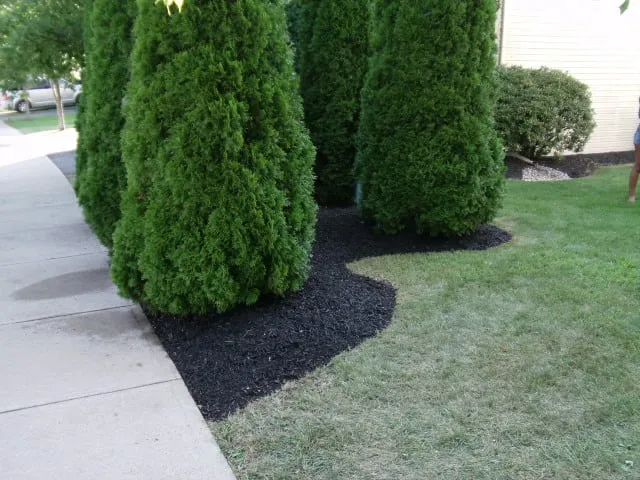 Expert lawn mowing service for homes in Easton, PA by Strength Services