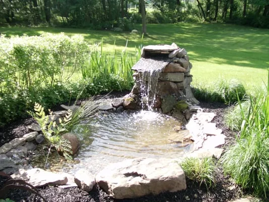 Strength Services Logo