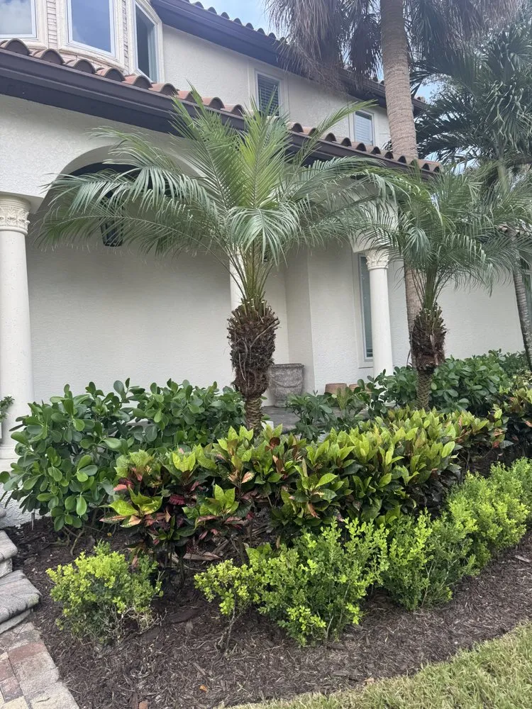 Reliable yard maintenance with custom design across St. Petersburg, FL - Stress Free Landscaping