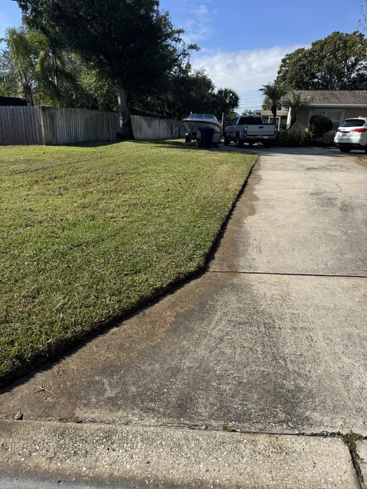 Professional yard maintenance in St. Petersburg, FL - Stress Free Landscaping