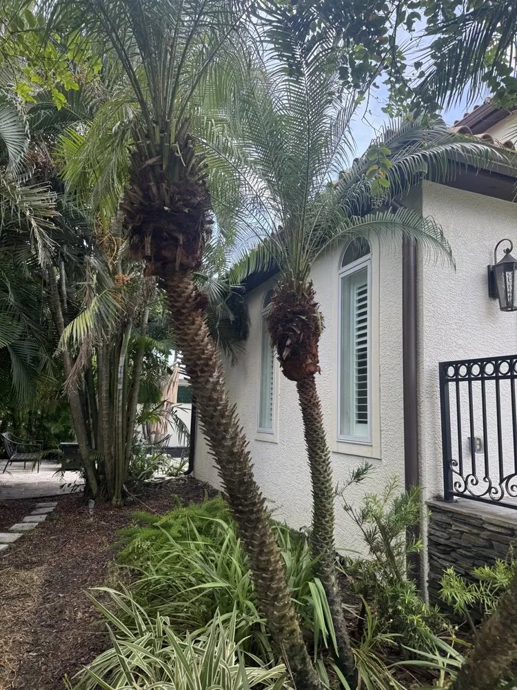 Custom lawn mowing service in St. Petersburg, FL - Stress Free Landscaping