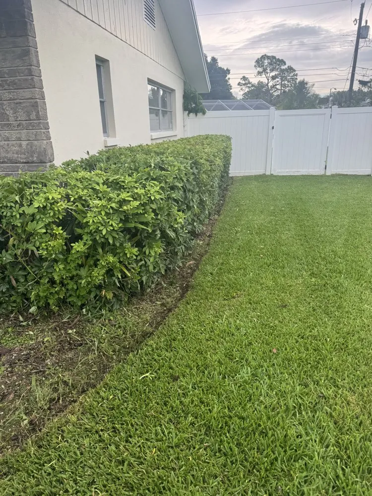 Top-rated landscape installation experts serving St. Petersburg, FL - Stress Free Landscaping