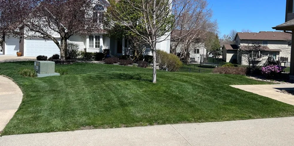 Trusted yard cleanup service experts serving Granger, IA - Stretch Property Maintenance