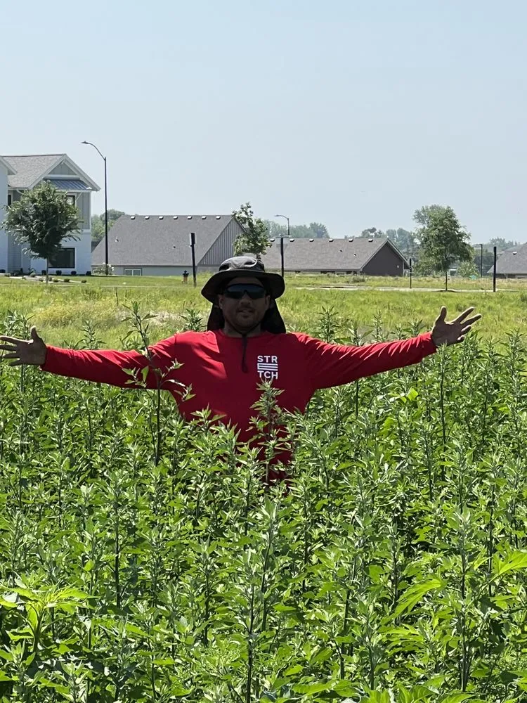 Trusted landscaping services for outdoor upgrades across Granger, IA - Stretch Property Maintenance