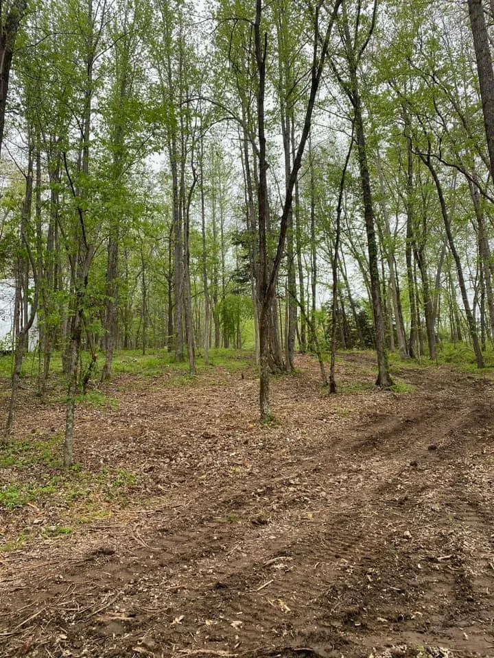 Trusted residential landscaping for homes in Dennard, AR by Strickland Land Services