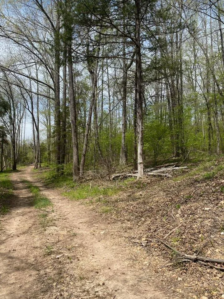 Professional landscape installation for homes in Dennard, AR by Strickland Land Services