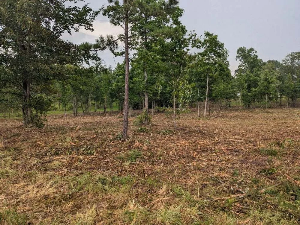 Affordable yard maintenance in Dennard, AR by Strickland Land Services