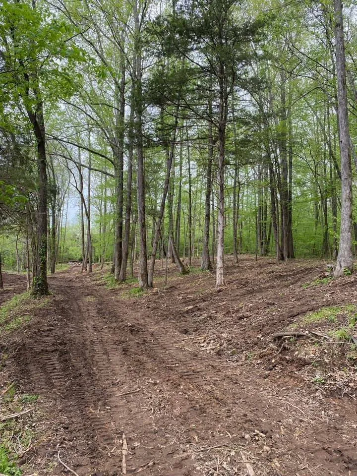 Local outdoor landscaping with custom design across Dennard, AR - Strickland Land Services