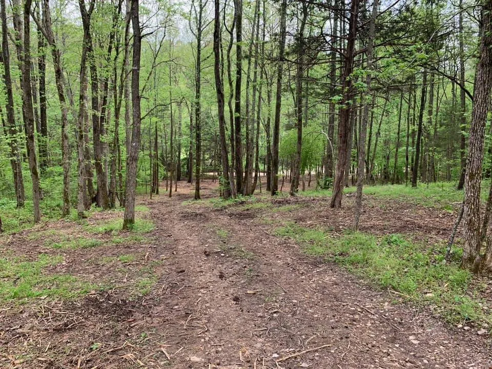 Professional residential landscaping experts serving Dennard, AR - Strickland Land Services