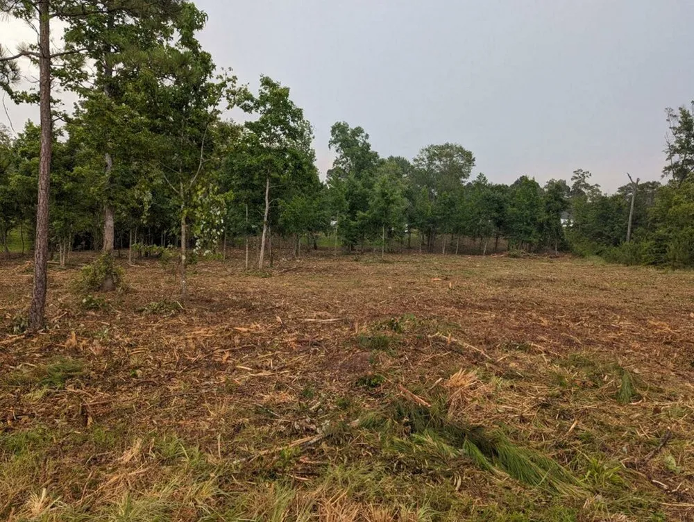 Professional landscape design with custom design across Dennard, AR - Strickland Land Services